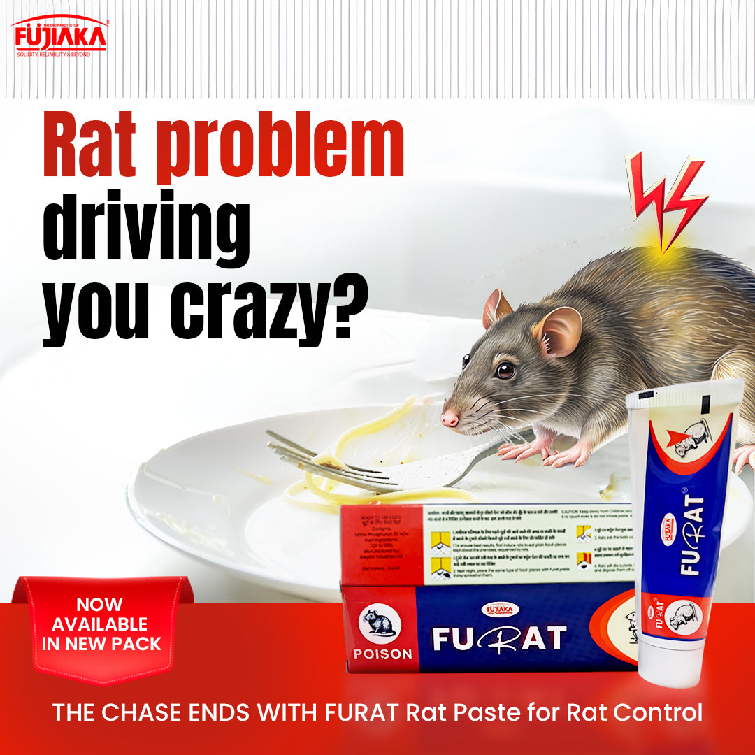 Furat Paste Rat Control - For Mice/Mouse/Rats/Rodents Control - 35gm - Pack of 5
