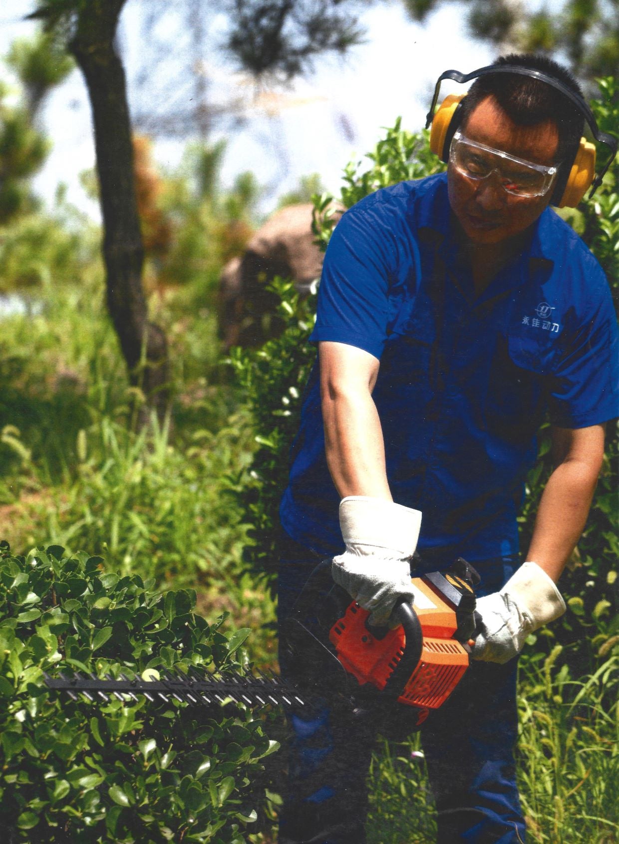 FUJIAKA, FU-600E Hedge Trimmer