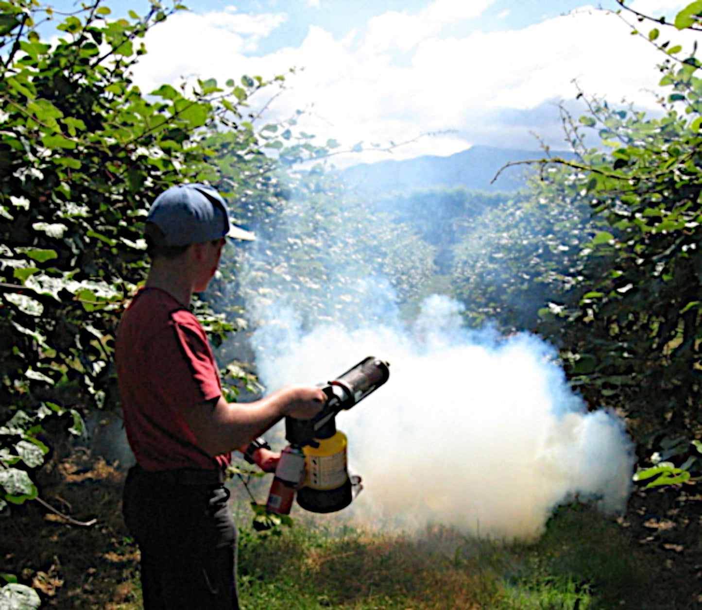 Fujiaka FU-5000 Portable Thermal Fogger/Fumigation Machine-Pack of 1